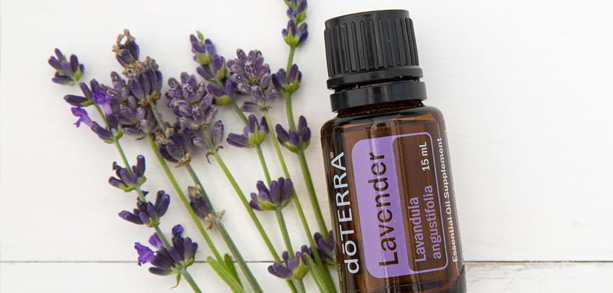 Lavender Essential Oil – The Ultimate Stress Reliever